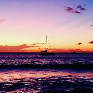 Meet your Posher, Anne